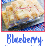 Homemade Blueberry Picnic Pies